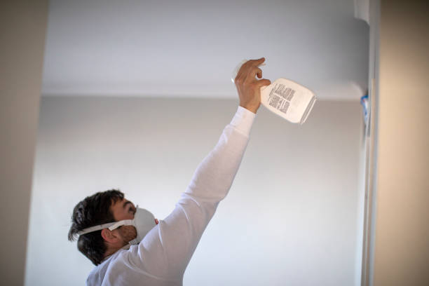 Mold Testing and Removal in Edgerton, KS