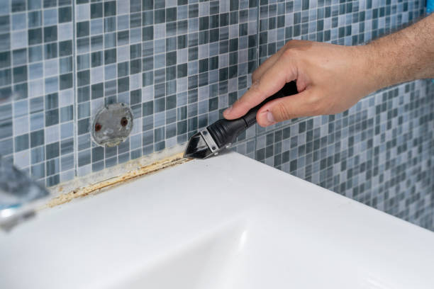 Best Mold Damage Repair  in Edgerton, KS